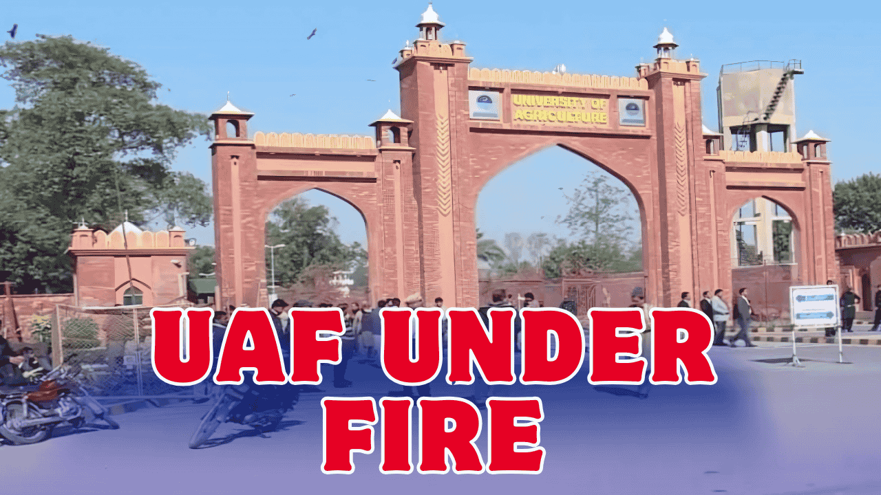 UAF Faculty Appointments Controversy